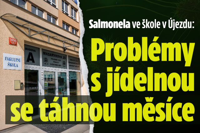 Banner ke žhavému tématu: Salmonela ve škole v Újezdu: Problémy ...