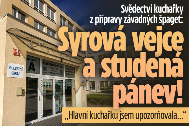 Banner ke žhavému tématu: Svědectví kuchařky z přípravy závadných ...