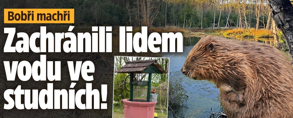 Bobři machři: Vybudovali v Plzni hráz a zachránili lidem vodu ve studních!