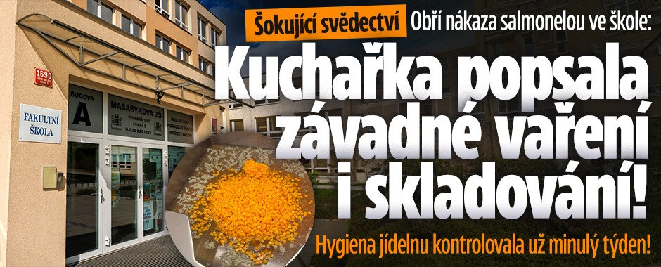 Obří nákaza salmonelou ve škole: Kuchařka popsala závadné vaření i skladování!