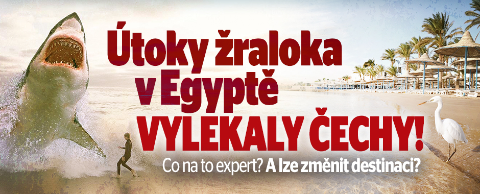 Útok žraloka v Egyptě znejistil Čechy: Lze změnit destinaci?
