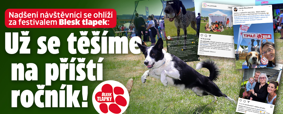 Nadšení návštěvníci Festivalu Blesk tlapek: „Psí nádhera!“