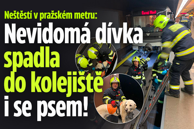 Nevidomá dívka spadla do kolejiště metra i se psem!