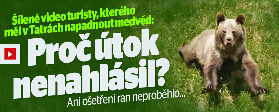 Medvěd v Tatrách zaútočil na turistu: Muž šelmě do tlamy nastříkal sprej! Medvěd v Tatrách zaútočil na turistu: Muž šelmě do tlamy nastříkal sprej!