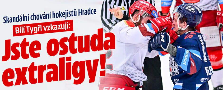 Hradečtí lámali Tygrům hokejky, ti se zlobí: Ostuda, máme poslat fakturu?