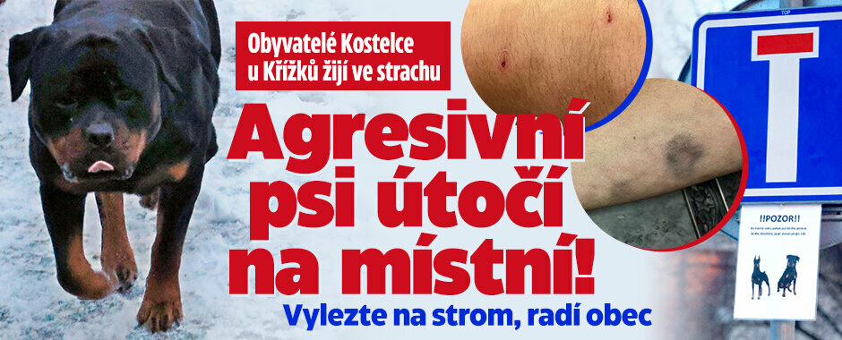 Obyvatelé Kostelce u Křížků žijí ve strachu z agresivních zvířat: Útočí psi, vylezte na strom, varuje obec Obyvatelé Kostelce u Křížků žijí ve strachu z agresivních zvířat: Útočí psi, vylezte na strom, varuje obec