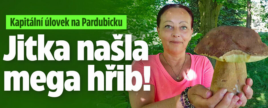 Jitka našla mega hřib! Kam na ně chodíte, vyzvídají houbaři Jitka našla mega hřib! Kam na ně chodíte, vyzvídají houbaři