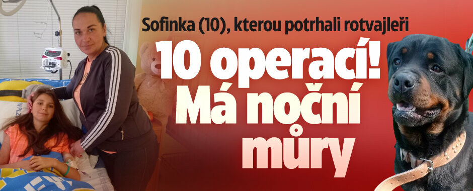 Noční můry i první krůčky: Sofinku (10) potrhanou rotvajlery čeká dlouhé léčení Noční můry i první krůčky: Sofinku (10) potrhanou rotvajlery čeká dlouhé léčení