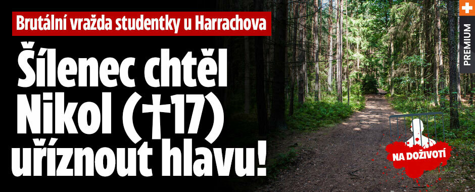 Na doživotí: Lázok vraždil na útěku z léčebny. Mladou Nikol brutálně ubodal, pokoušel se jí odříznout hlavu Na doživotí: Lázok vraždil na útěku z léčebny. Mladou Nikol brutálně ubodal, pokoušel se jí odříznout hlavu