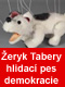 Žeryk Tabery, hlídací pes demokracie